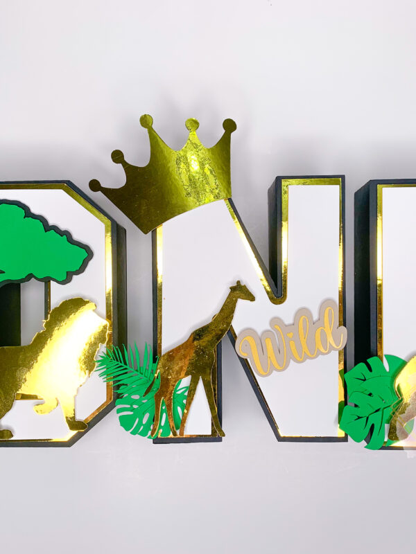 Wild ONE 3D Letters